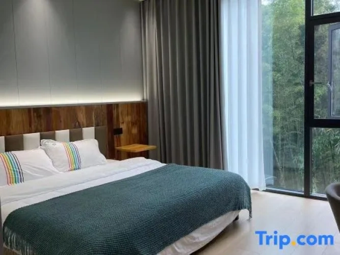 Standard Single room with view