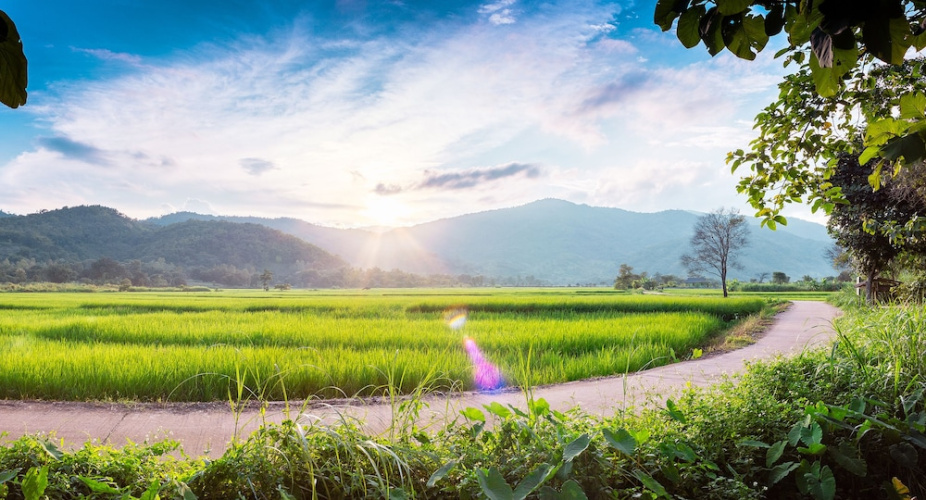 Baan Sin Suk