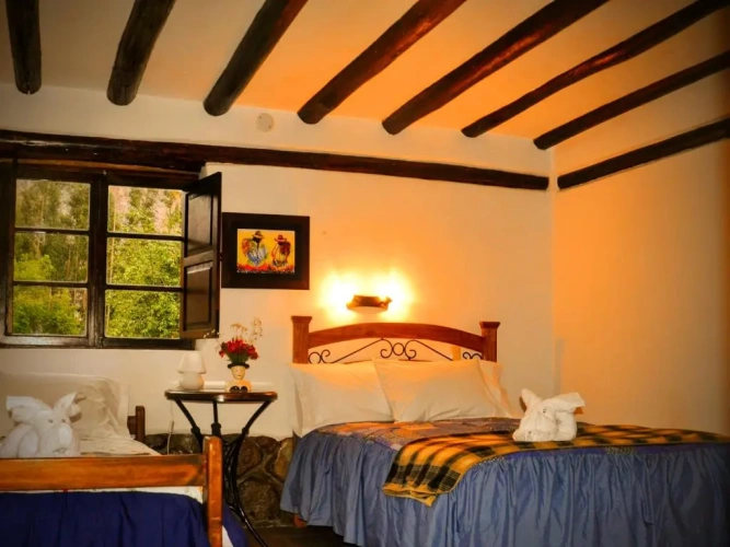 Superior Twin room with garden view