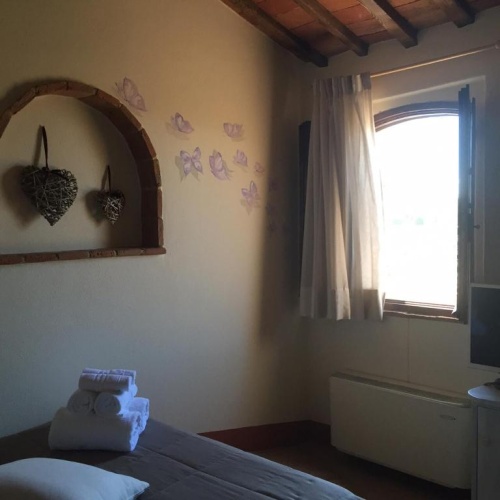 Deluxe Single room with view