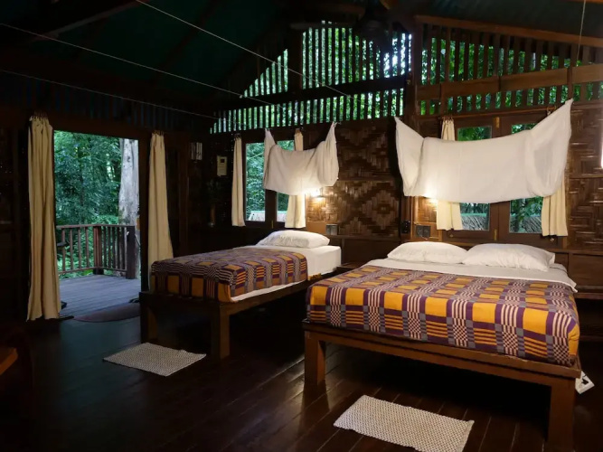 Our Jungle House