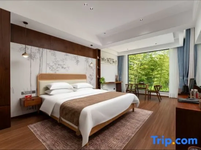 Standard Double room with courtyard view