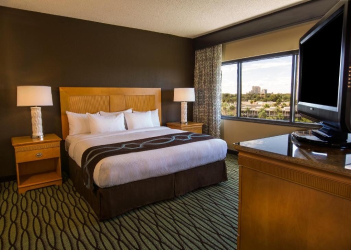 1 Bedroom Suite