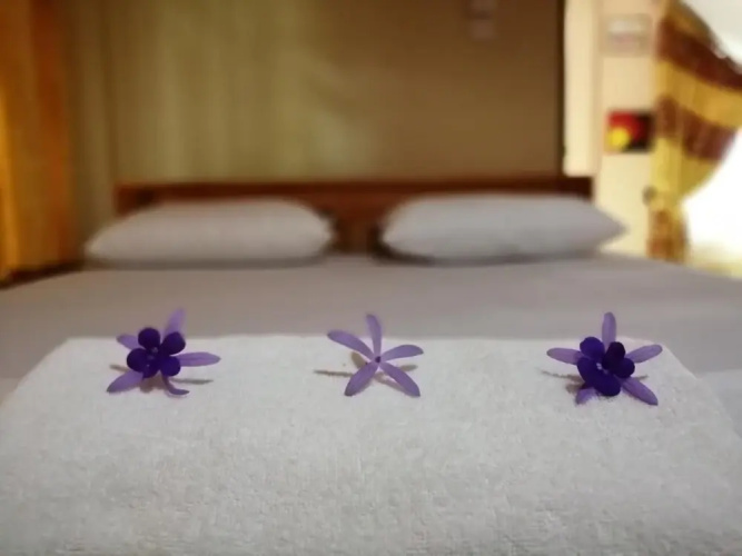 Viveka Inn Guest