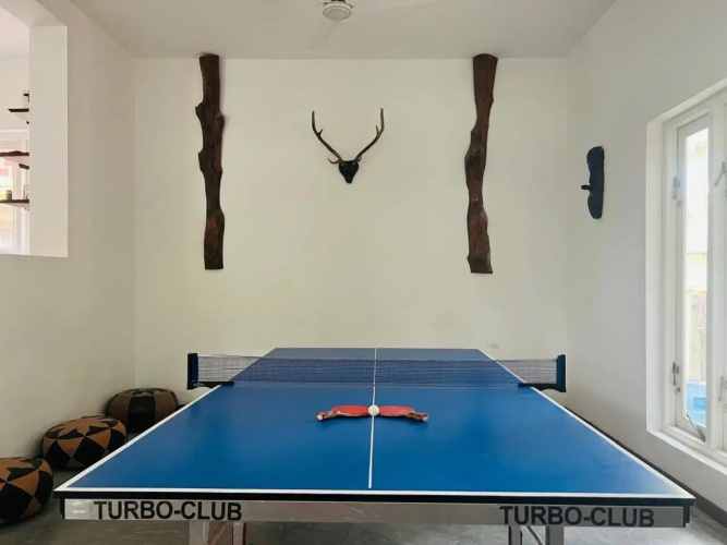 Villa Green Bamboo
