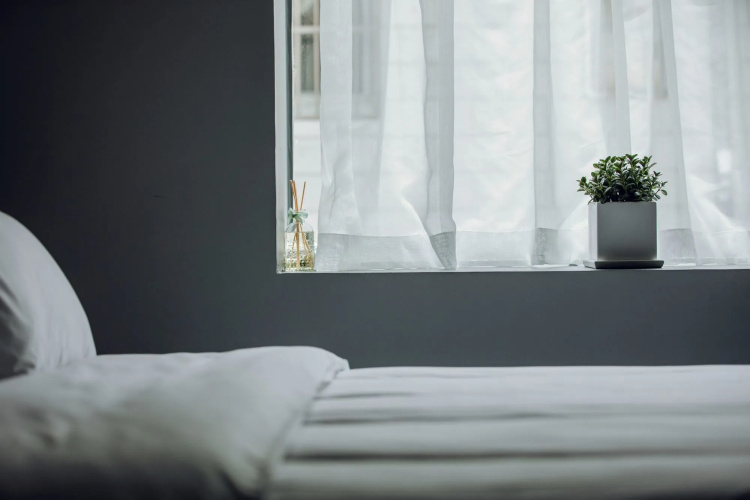 C3 Hotels