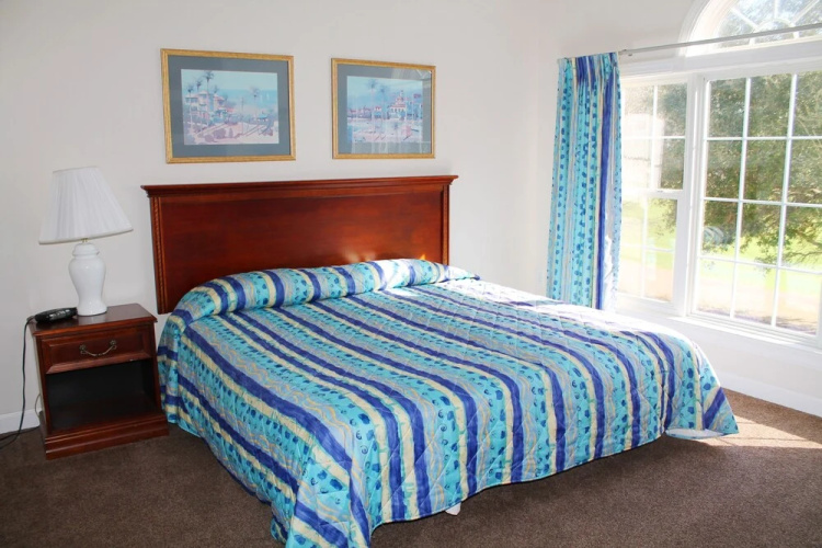 224 Wedgewood