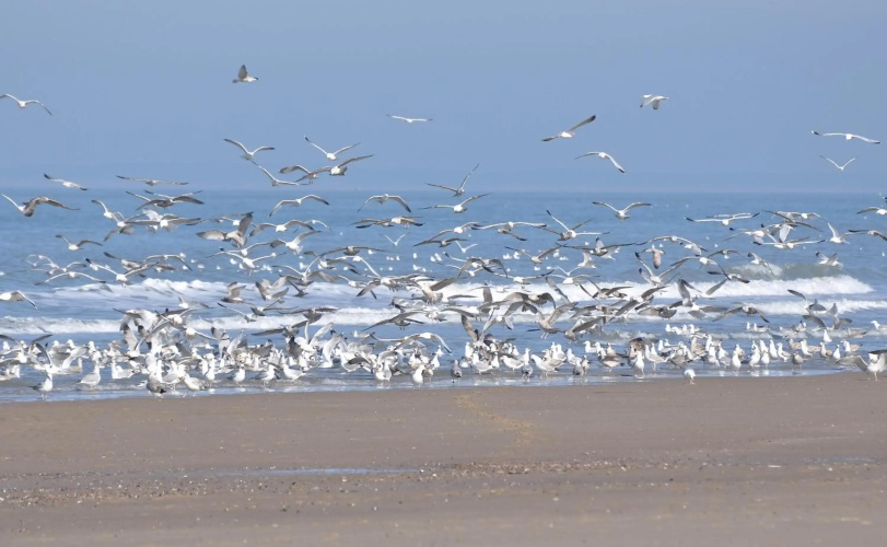 Vakantiewoning Seaside