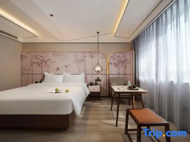 1 Bedroom Suite