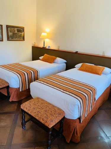 Standard Twin room with garden view