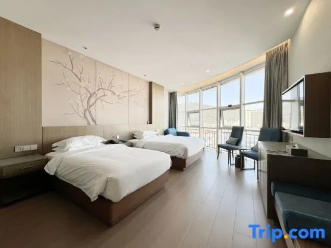 Standard Twin Family room