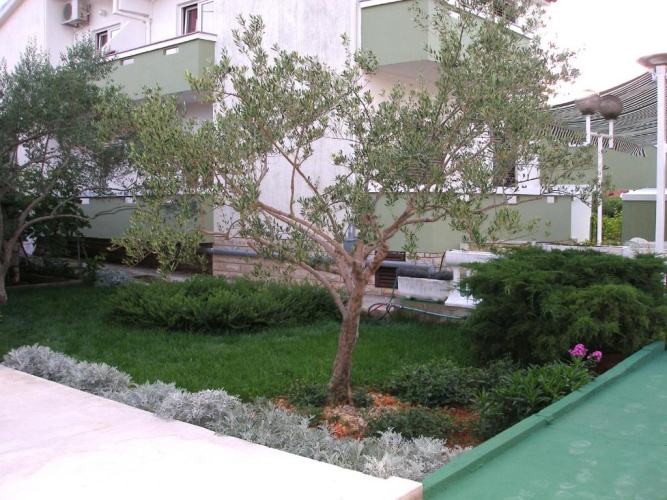 2 Bedrooms Apartment with balcony and with view
