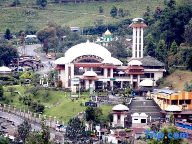 Hotel New Ayuda 2