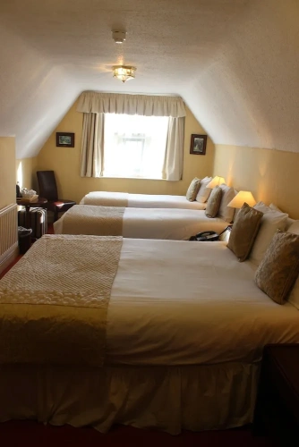 Standard Double Family room
