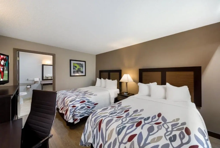 Superior Quadruple room