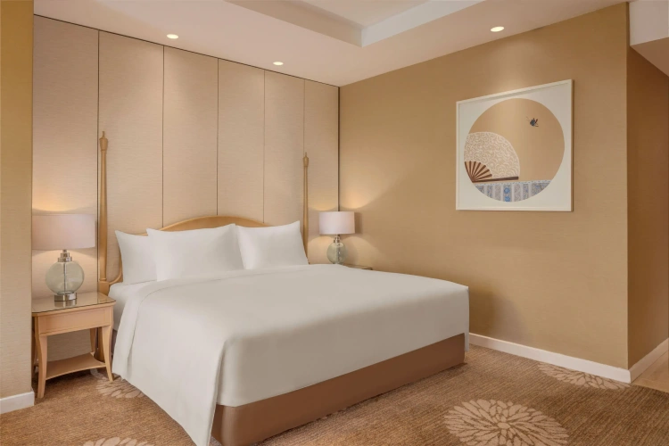 Executive Double Club room