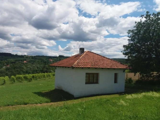 Apartment with garden view
