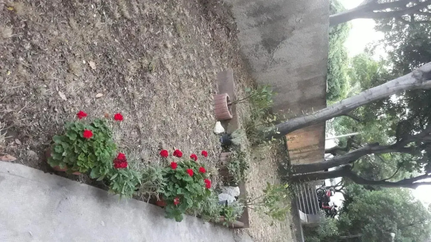 Apartment Marino