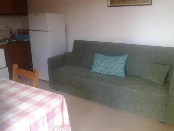 1 Bedroom Basement Apartment