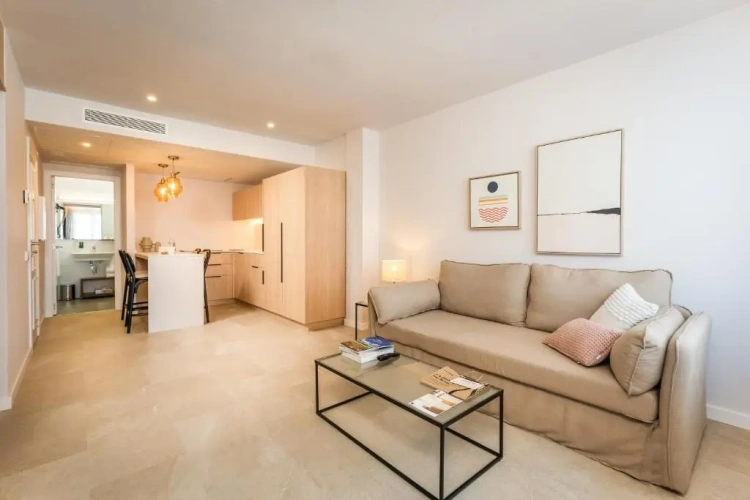 1 Bedroom Apartment