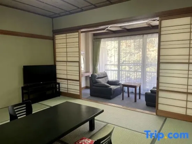 Superior Double room with river view