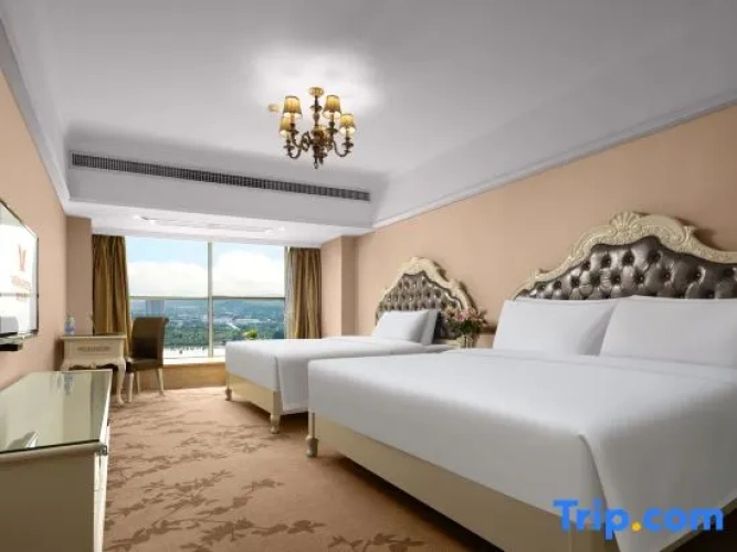 Standard Double room with river view