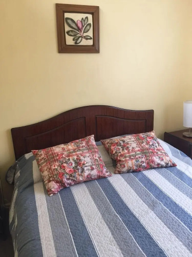 Cabanas Los Pinis