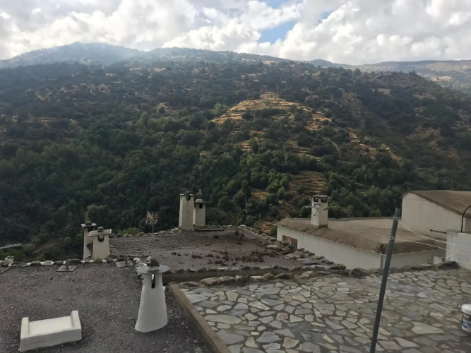 Casita Paloma