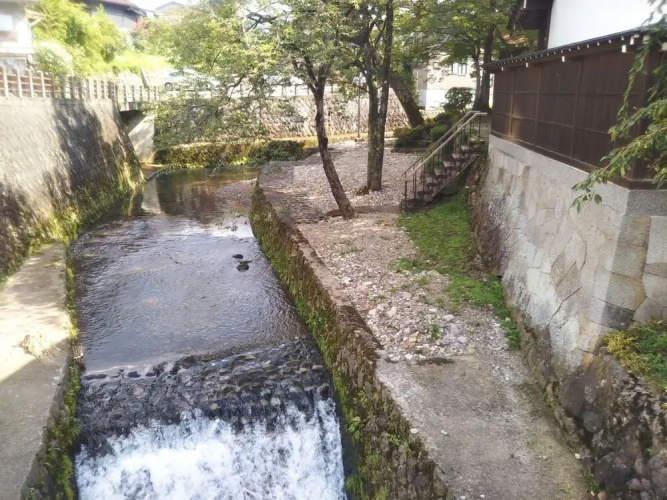 Yuya Takanoyu