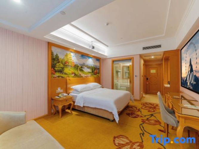 Standard Double Attic room
