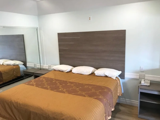 Standard Double Suite