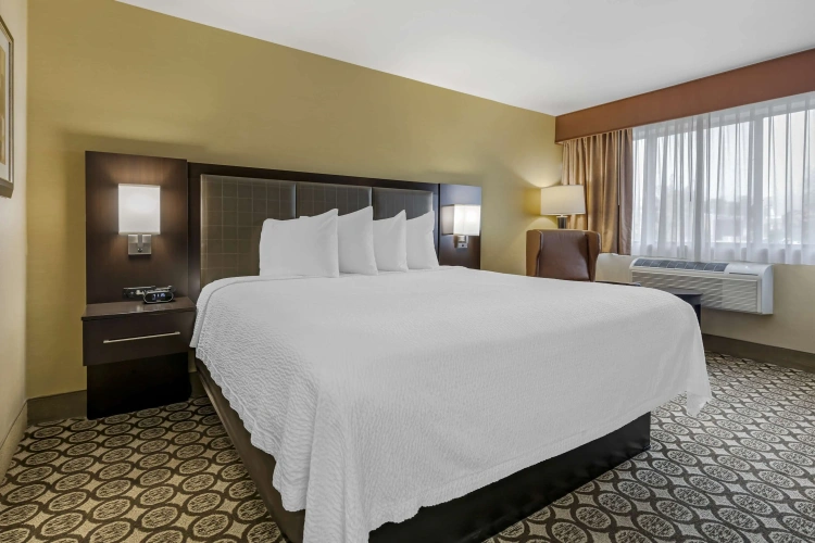 Standard Double room