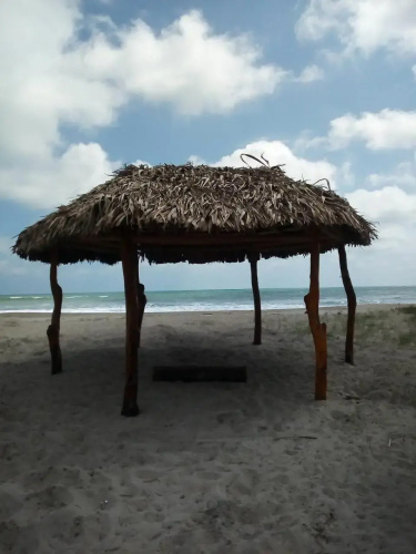 Jardin Pacifico