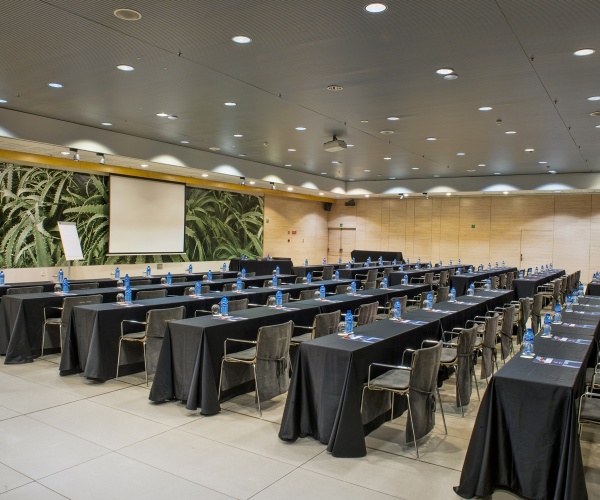 Alexandre Hotel Fira Congress photo 22