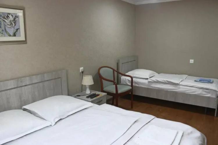 Guest House Erekle 6