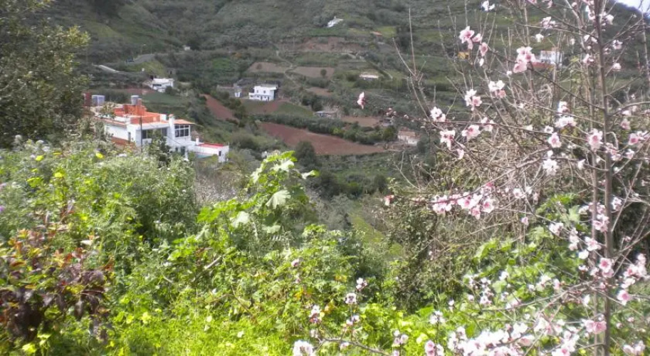 Finca Naturacanaria