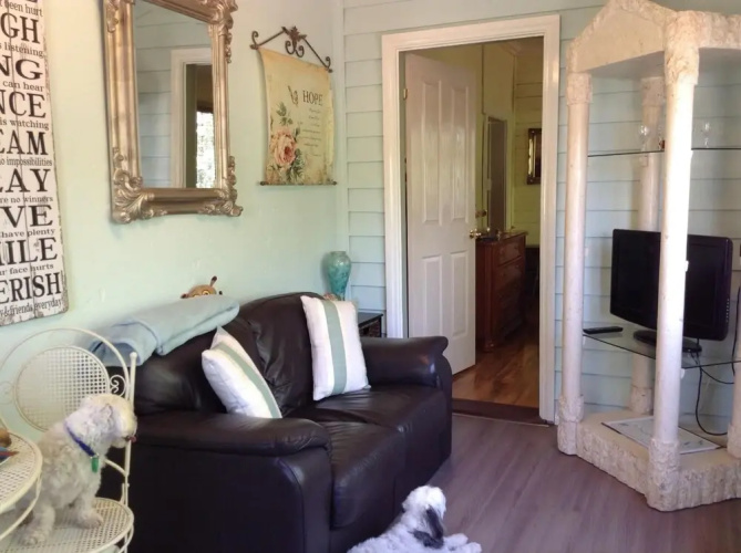 Must Love Dogs B&b