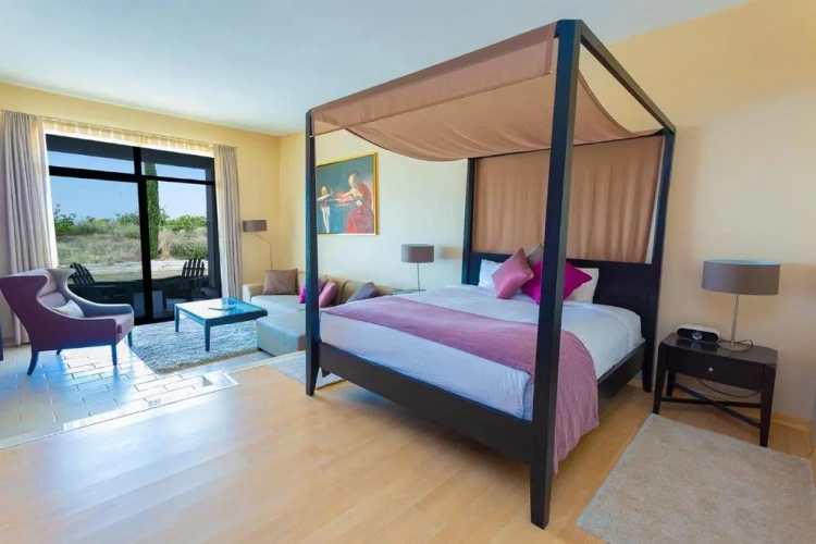 Deluxe Double room with balcony and with view