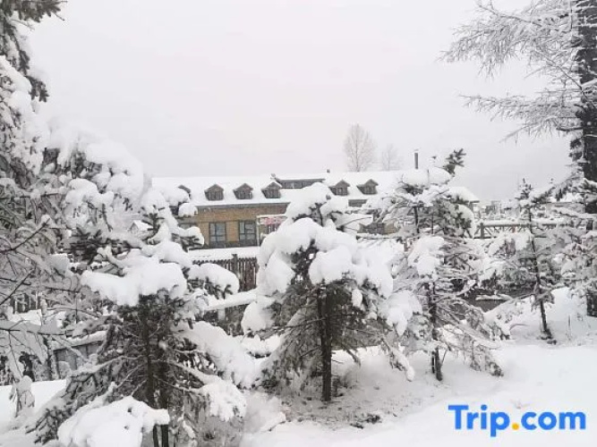 Xiaoxia Homestay
