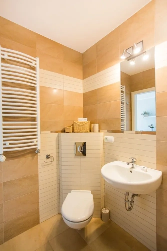 1 Bedroom Classic Apartment