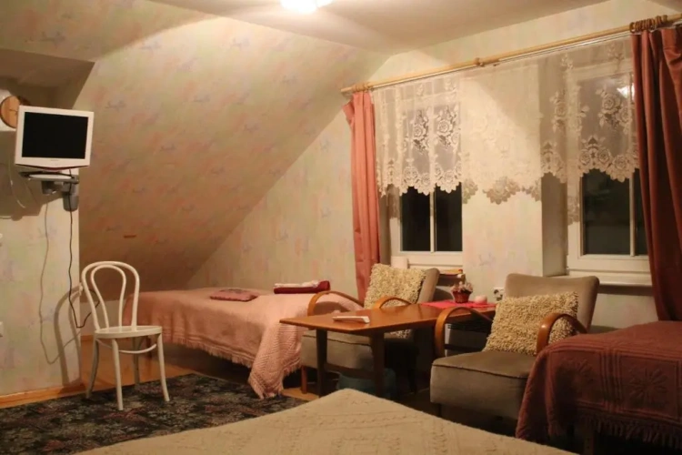 Standard Twin room with view