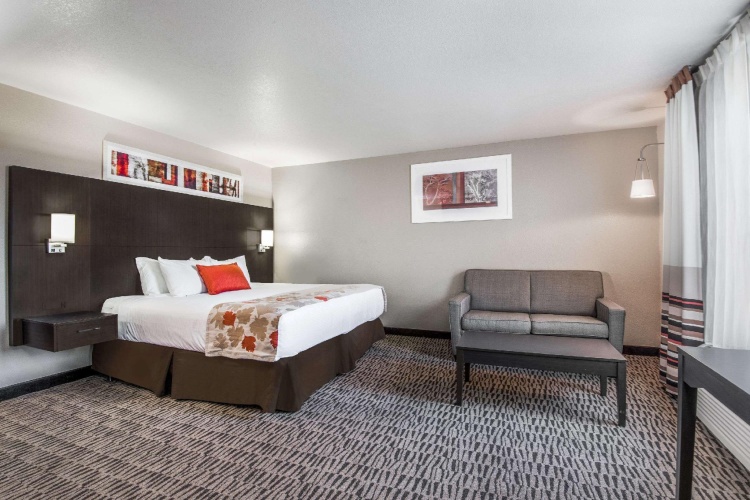 Executive Double room