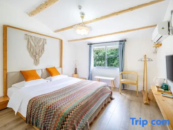 Standard Double room with city view