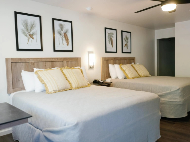 Cedar Lodge