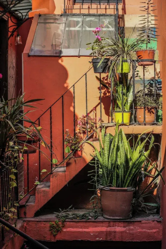 Via Via Buenos Aires