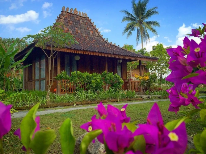 Deluxe Bungalow with view