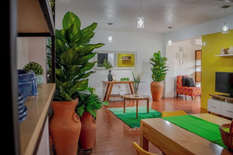 Suites Mayahuel
