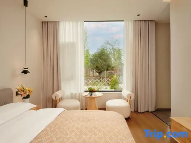 Standard Double room with courtyard view