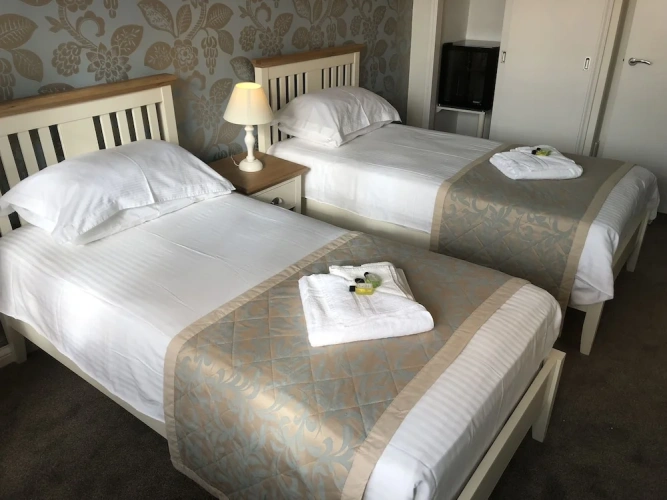 Superior Twin room with city view
