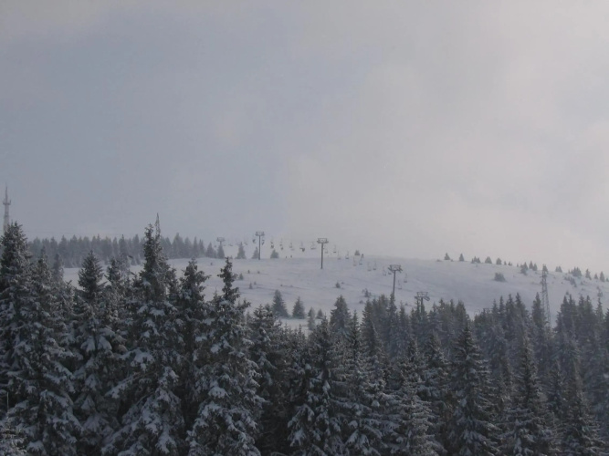 Villa Kostic Kopaonik